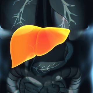 Fatty-liver-diet-and-what-foods-not-to-eat